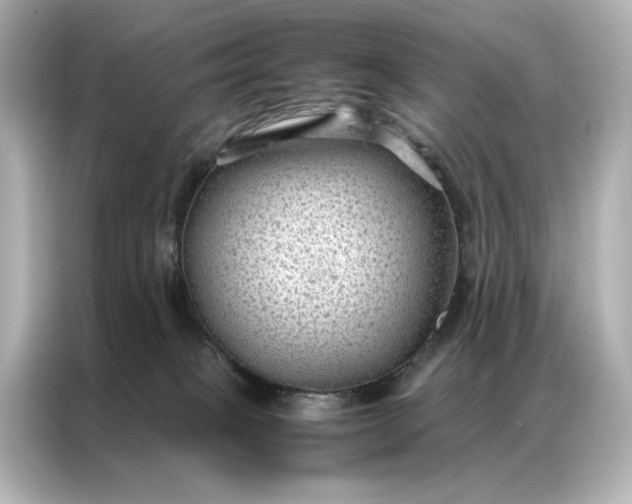 X0000086890085200704301005