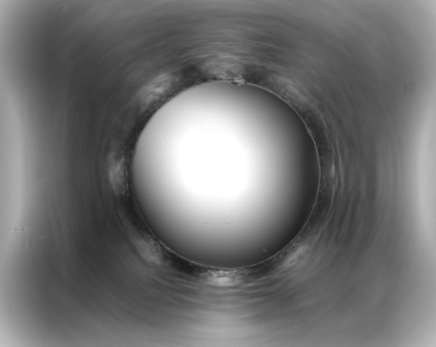 X0000086890088200704301005