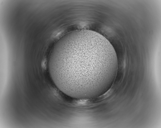 X0000086890090200704301005