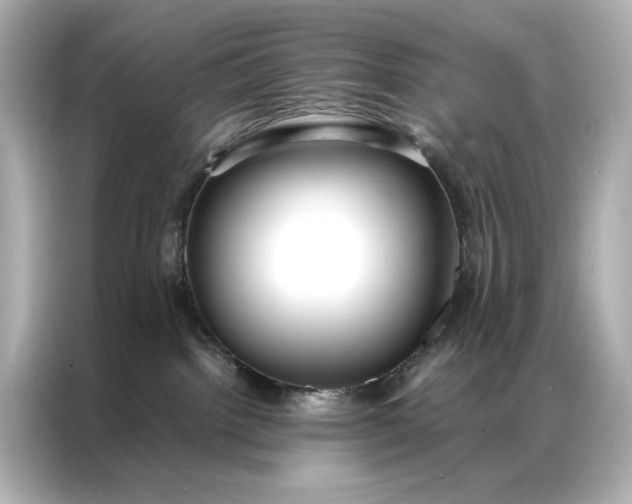 X0000086890092200704301005