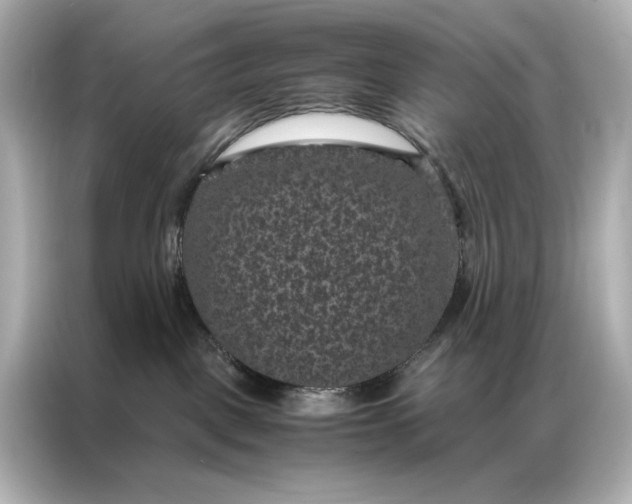 X0000086890093200704301005