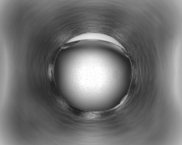 X0000086890094200704301005