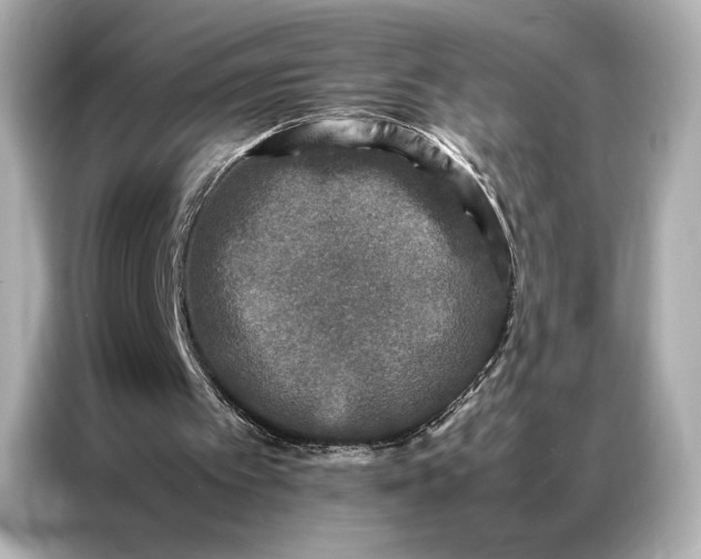 X0000086890097200704301005