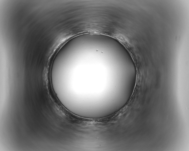 X0000086890098200704301005