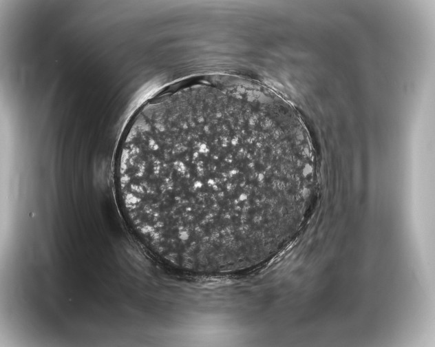 X0000086890099200704301005