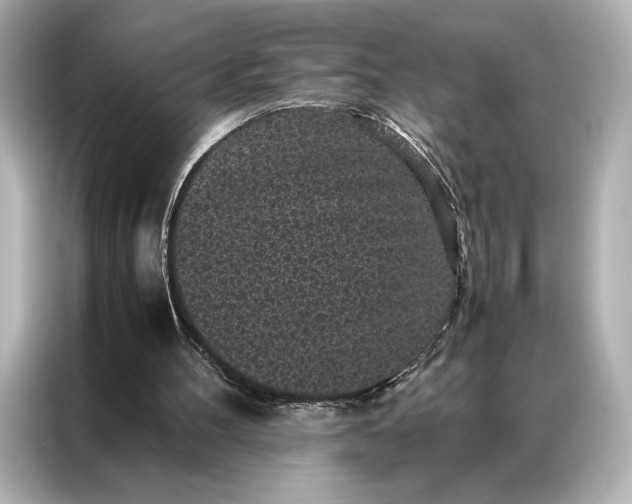 X0000086890100200704301005