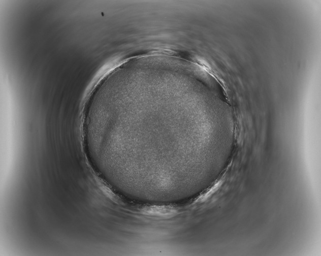 X0000086890101200704301005