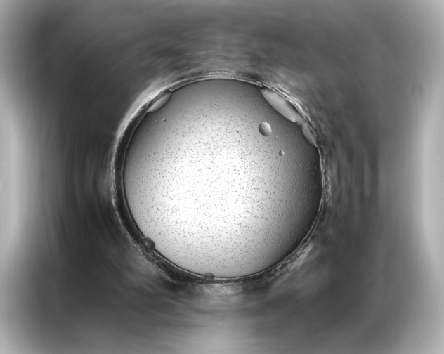 X0000086890102200704301005