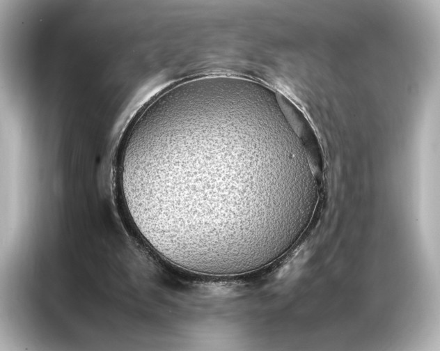 X0000086890103200704301005