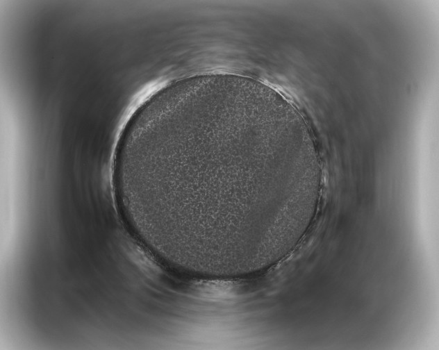 X0000086890104200704301005