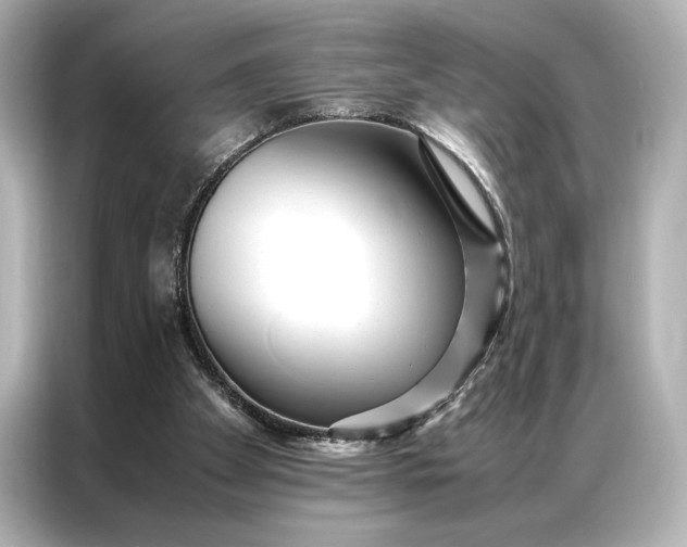 X0000086890105200704301005