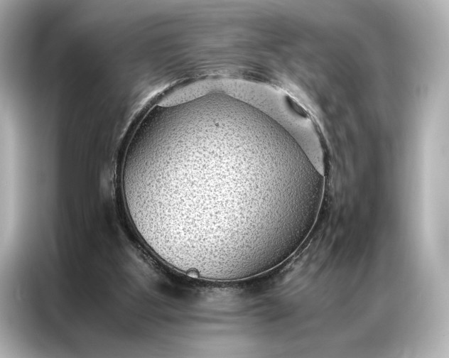 X0000086890107200704301005