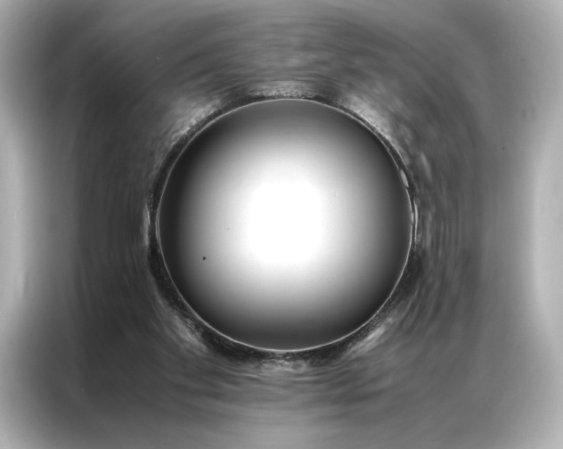 X0000086890109200704301005