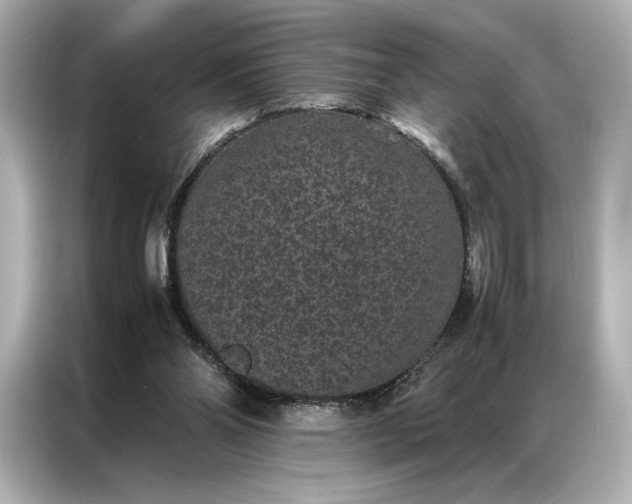 X0000086890110200704301005