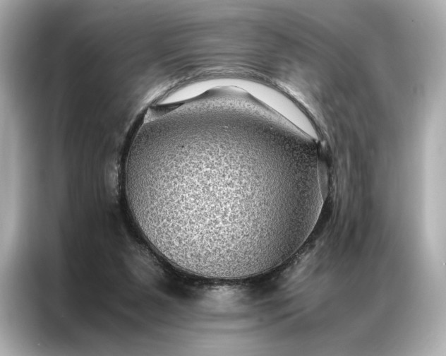 X0000086890111200704301005