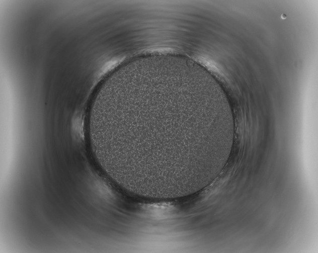 X0000086890112200704301005