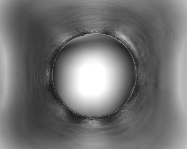 X0000086890113200704301005