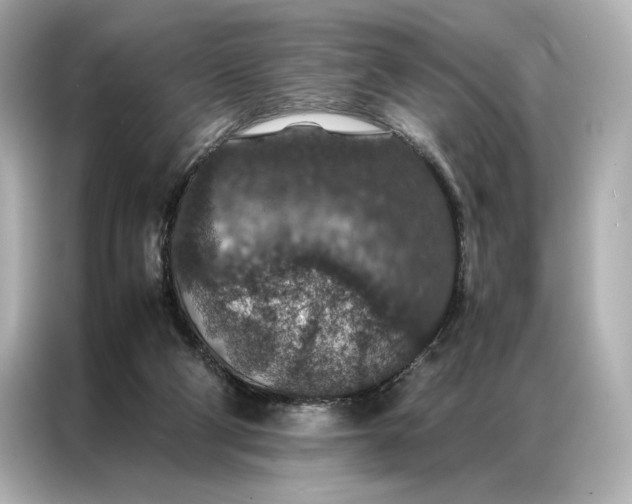 X0000086890114200704301005