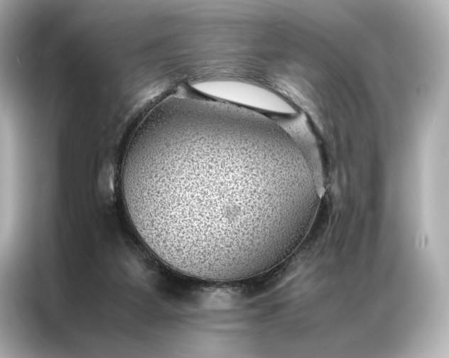 X0000086890115200704301005