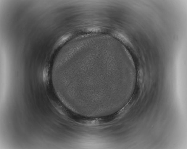 X0000086890116200704301005