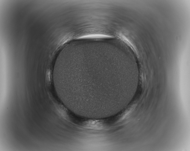 X0000086890117200704301005