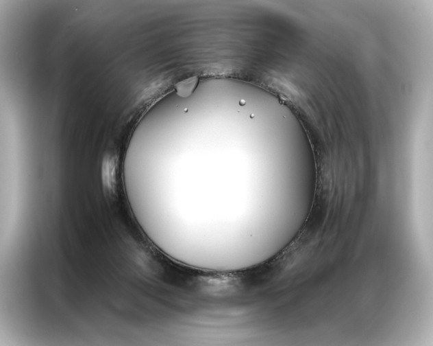 X0000086890118200704301005