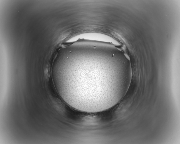 X0000086890119200704301005