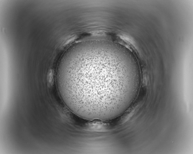 X0000086890121200704301005