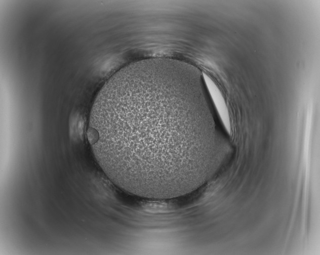 X0000086890123200704301005