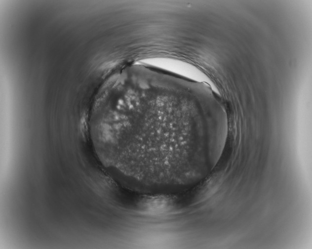 X0000086890127200704301005