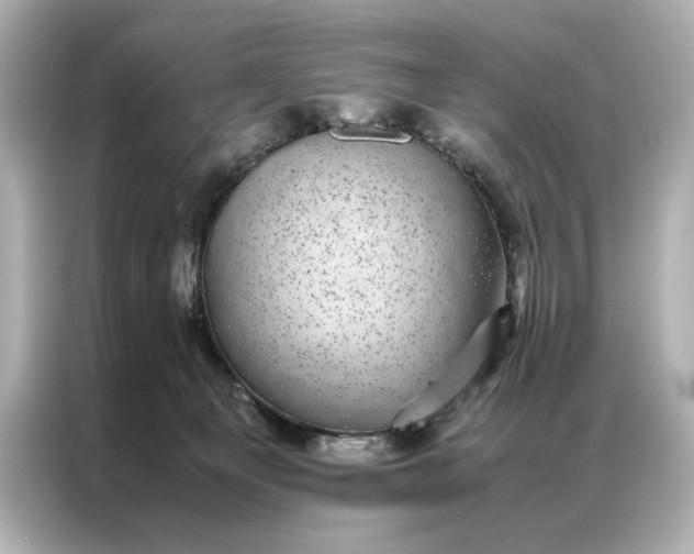 X0000086890129200704301004