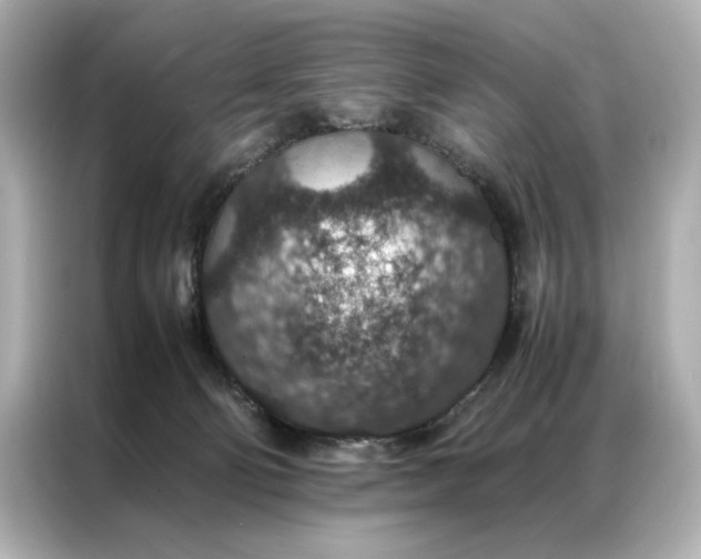 X0000086890130200704301004