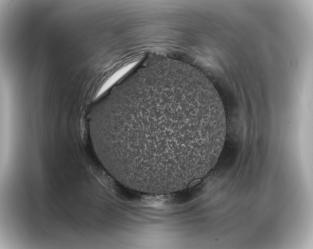 X0000086890131200704301004