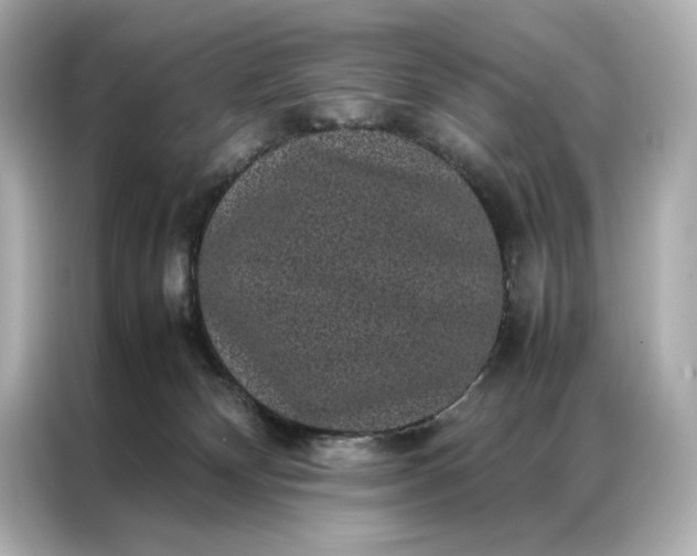 X0000086890132200704301004