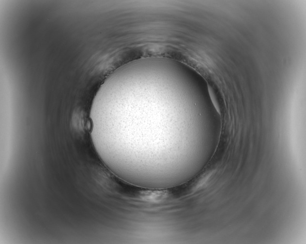 X0000086890135200704301004