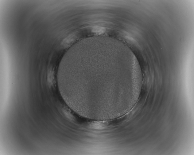 X0000086890136200704301004