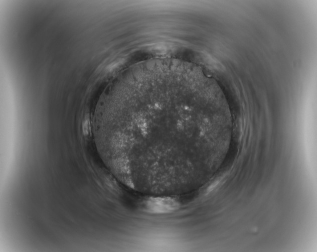 X0000086890137200704301004