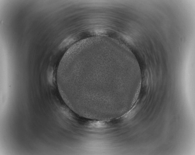 X0000086890140200704301004