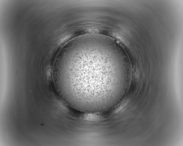 X0000086890141200704301004