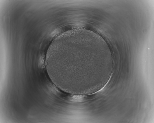 X0000086890144200704301004