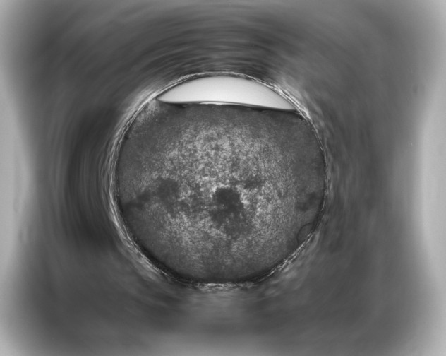 X0000086890145200704301004