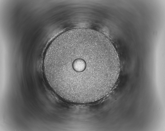 X0000086890146200704301004