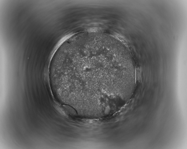 X0000086890147200704301004