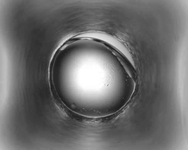 X0000086890148200704301004