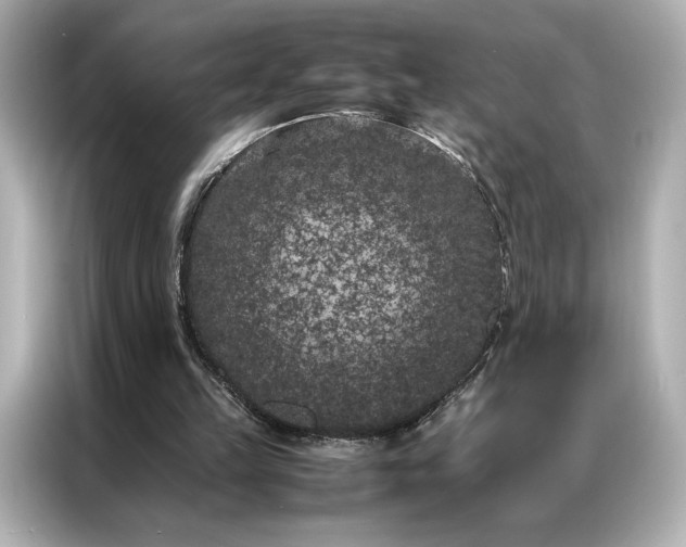 X0000086890149200704301004