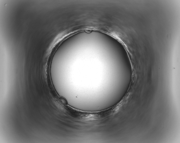 X0000086890151200704301004