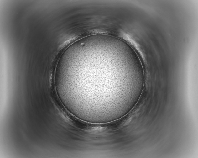 X0000086890153200704301004