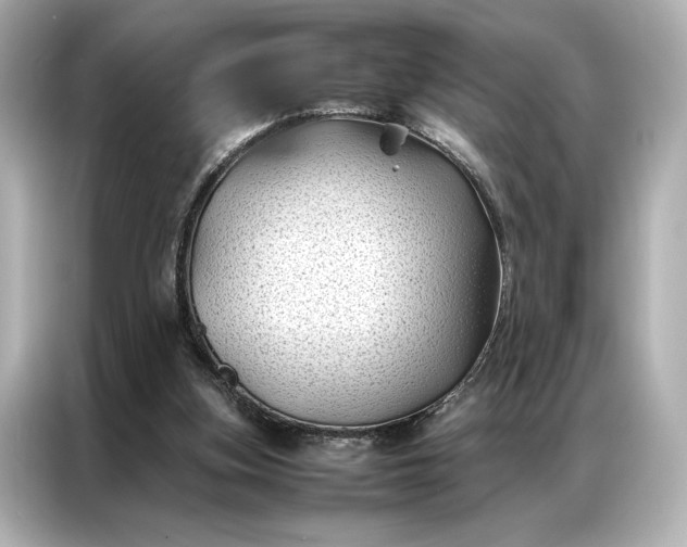 X0000086890155200704301004