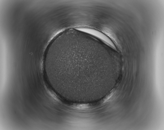 X0000086890156200704301004