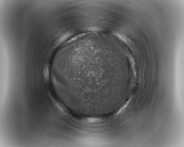 X0000086890158200704301004